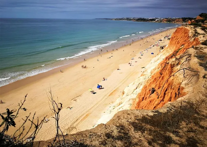 Falésia Pine Spot * Albufeira
